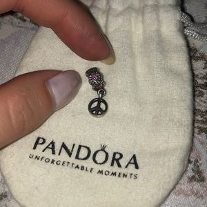 Pandora Charm